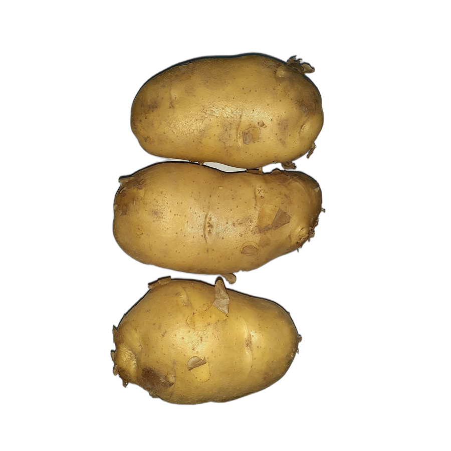 Potato